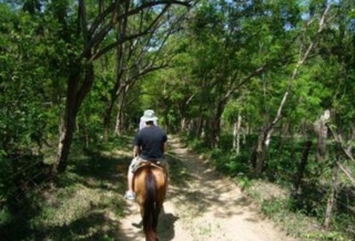 Senderos de ruta a caballo